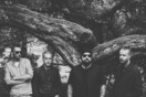 Ulver