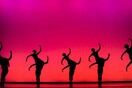 Momix, Opus Cactus