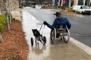 ΑμεΑ υιοθέτησε σκύλο σε αναπηρικό αμαξίδιο - Ήταν ο μόνος που μπορούσε να τον «καταλάβει»