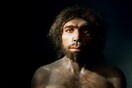 Στα δόντια ενός κανίβαλου Homo antecessor το αρχαιότερο γενετικό υλικό - Ηλικίας 800.000 ετών