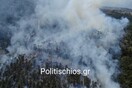 Χίος: Φωτιά σε δασική έκταση- Στην περιοχή πνέουν ισχυροί άνεμοι