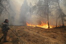 Μαίνεται η πυρκαγιά στο Τσερνόμπιλ - Προειδοποίηση Greenpeace για κίνδυνο ραδιενεργής ακτινοβολίας