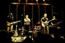 DAY 3, Blues For Peace