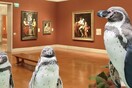 Οι «φιλότεχνοι» πιγκουίνοι