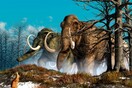 «Τόσα πολλά μαμούθ»: Οστά από 60 προϊστορικά ζώα ανακαλύφθηκαν σε εργοτάξιο αεροδρομίου