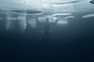 Κολυμπώντας στα σκοτεινά νερά κάτω από τους πάγους της Αρκτικής