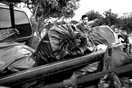Χανιά: Έσπασαν δέντρα στο Κεδρόδασος για να ψήσουν μπριζόλες - Η καταγγελία εθελοντών