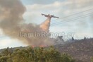 Σε ύφεση η φωτιά στο Μαρτίνο- Άνοιξε η εθνική οδός Αθηνών- Λαμίας