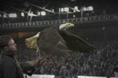 Πέθανε η Κάιλα, ο αετός που πετούσε στο γήπεδο της Κρίσταλ Πάλας