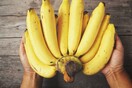 Η πανδημία της μπανάνας - H ασθένεια που απειλεί να αλλάξει τα πάντα για το δημοφιλές φρούτο