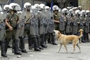 O αγανακτισμένος Λουκάνικος κάνει το γύρο του κοσμου