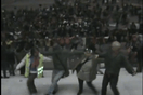 Ένα συρτάκι για την Ελλάδα (video)