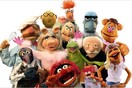 The Muppets