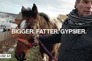 «Bigger, Fatter, Gypsier»