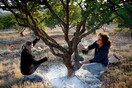 Οι Έλληνες γίνονται ξανά αγρότες