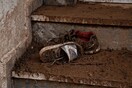 4 εικόνες που αποδεικνύουν πως δεν φταίει η «θεομηνία» αλλά εμείς