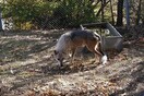 H Φρέγια και o Ραούλ, τα δύο αδέλφια που ζούσαν αιχμάλωτα πλέον είναι στον Αρκτούρο