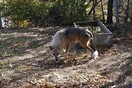 H Φρέγια και o Ραούλ, τα δύο αδέλφια που ζούσαν αιχμάλωτα πλέον είναι στον Αρκτούρο