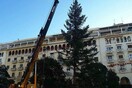 Χριστούγεννα στη Θεσσαλονίκη - Δείτε το 20 μέτρων έλατο στην Αριστοτέλους