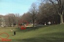 Κι όμως, ήταν προϊόν μοντάζ ο αετός