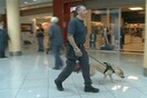 Ένας σκύλος που μυρίζει χρήματα στην Ιταλία