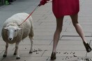 Η φωτογραφία της ημέρας