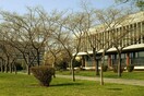 Στην παγκόσμια ελίτ πέντε ελληνικά πανεπιστήμια