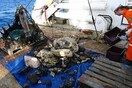 Eπιστήμονες ανακαλύπτουν βυθισμένη ήπειρο