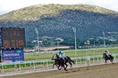 Ξεκινά η διαδικασία παραχώρησης του ιπποδρομιακού στοιχήματος