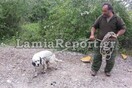 Λαμία: Ο σκύλος τους οδήγησε στο νεκρό αφεντικό του