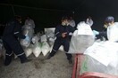Περού: Κατάσχεση μισού τόνου κοκαΐνης με προορισμό τη Γαλλία