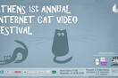 Athens Cat Video Festival