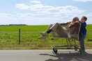 Jackass Presents: Bad Grandpa