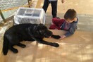 Εμπειρία Ζωής για τα παιδιά των Παιδικών Χωριών SOS