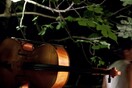 Το μουσικό χωριό στη Στέγη