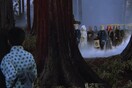 Οι αλεπούδες μένουν κάτω από τα ουράνια τόξα