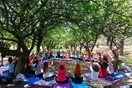 Open Yoga Day