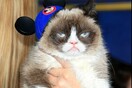 Η βλοσυρή Grumpy Cat μόλις κέρδισε 710.000 δολάρια σε αγωγή για δικαιώματα