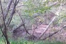 Κυνηγός βρήκε έναν γυμνό άνδρα να περιφέρεται "σε σύγχυση" σε δάσος