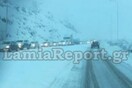 Δύσκολη νύχτα στον Δομοκό από την επέλαση του χιονιά - Προβλήματα και κλειστά σχολεία