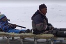 Μεγαλώνοντας στην αρκτική τούνδρα