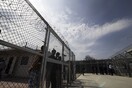 Μυτιλήνη: Προφυλακίστηκαν τρεις μετανάστες που κατηγορούνται για απόπειρα κλοπής ζώων από στάνη