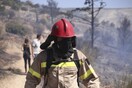 Πυρκαγιά στον Αυλώνα Αττικής - Σε εξέλιξη επιχείρηση της πυροσβεστικής