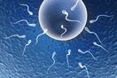 Ιατρικά πειράματα δείχνουν πως τα αντισταμινικά επηρεάζουν την ανδρική γονιμότητα