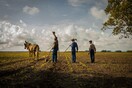 Mudbound: Δάκρυα στο Μισισιπή (Mudbound)