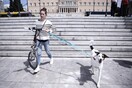 Σε δημόσια διαβούλευση το νομοσχέδιο για τα αδέσποτα και τα ζώα συντροφιάς