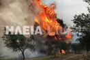 Μεγάλη πυρκαγιά στην Ηλεία - Ανησυχία για την αρχαία Ολυμπία