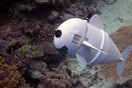 H SoFi είναι το πρώτο ρομποτικό ψάρι που μοιάζει με πραγματικό και ίσως σώσει τους ωκεανούς