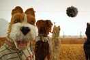Η απαιτητική διαδικασία δημιουργίας των stop motion animation ταινιών του Γουές Άντερσον