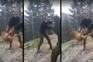 Ο Καμμένος ζητά να επιβληθούν οι αυστηρότερες ποινές στους φαντάρους που πέταξαν σκύλο σε γκρεμό